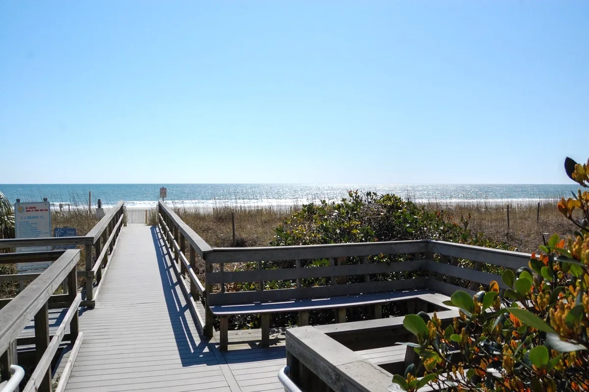 A serene wooden walkway leading through coastal dunes and green foliage, opening up to a sweeping ocean view. The scene evokes the anticipation of a beach day, with soft sunlight and relaxing vibes.